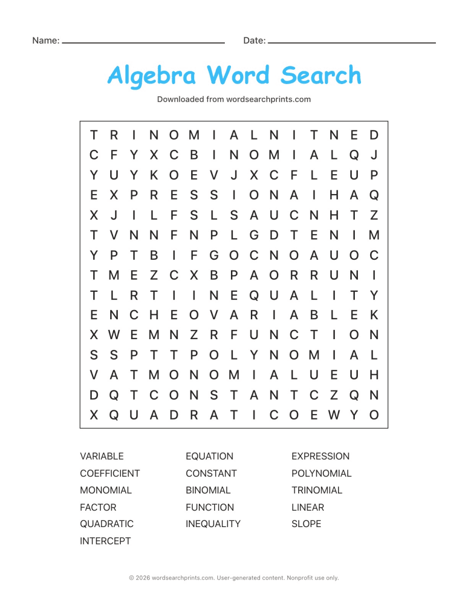 Algebra Word Search printable worksheet preview