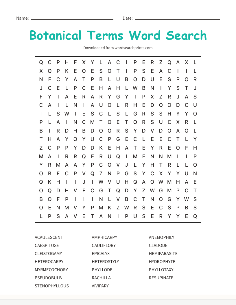 Botanical Terms Word Search