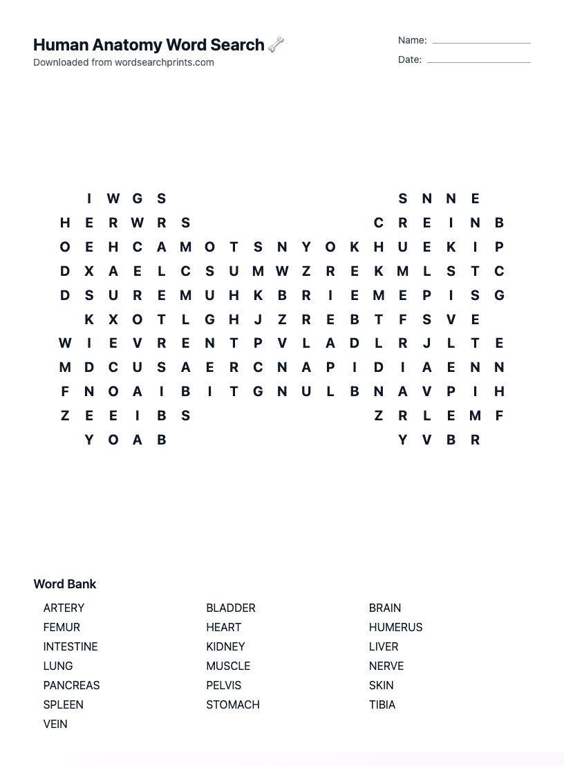 Human Anatomy Word Search