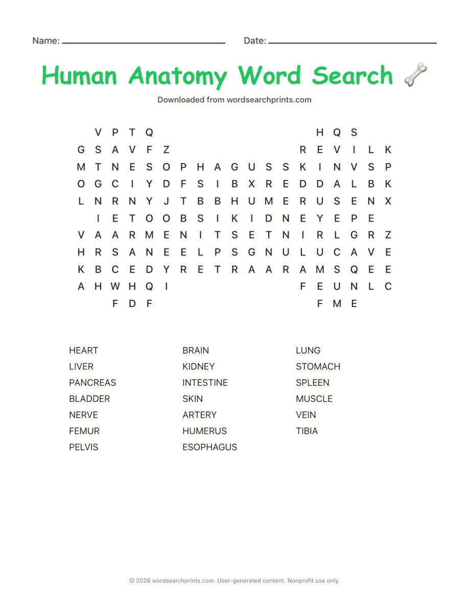 Human Anatomy Word Search printable worksheet preview