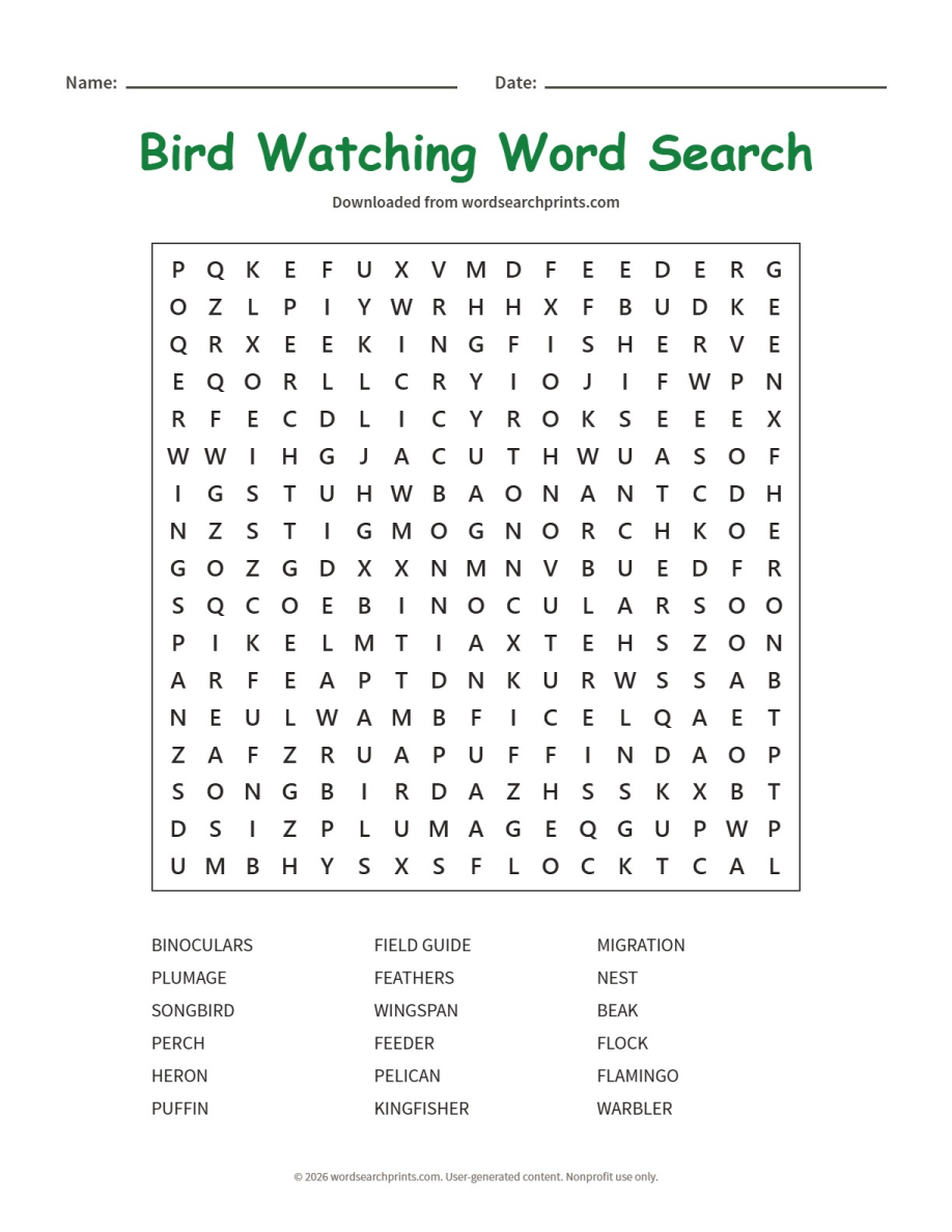 Bird Watching Word Search