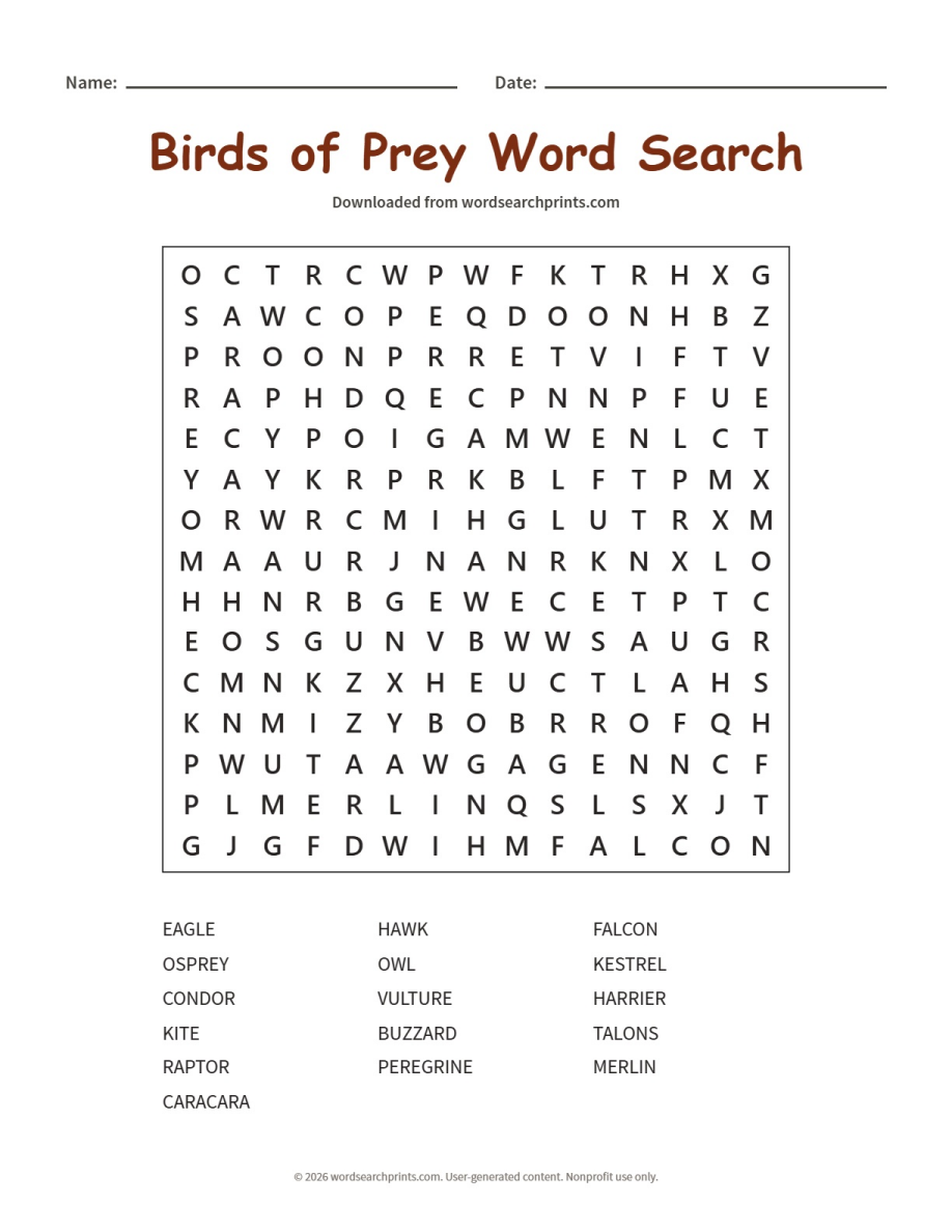 Birds of Prey Word Search