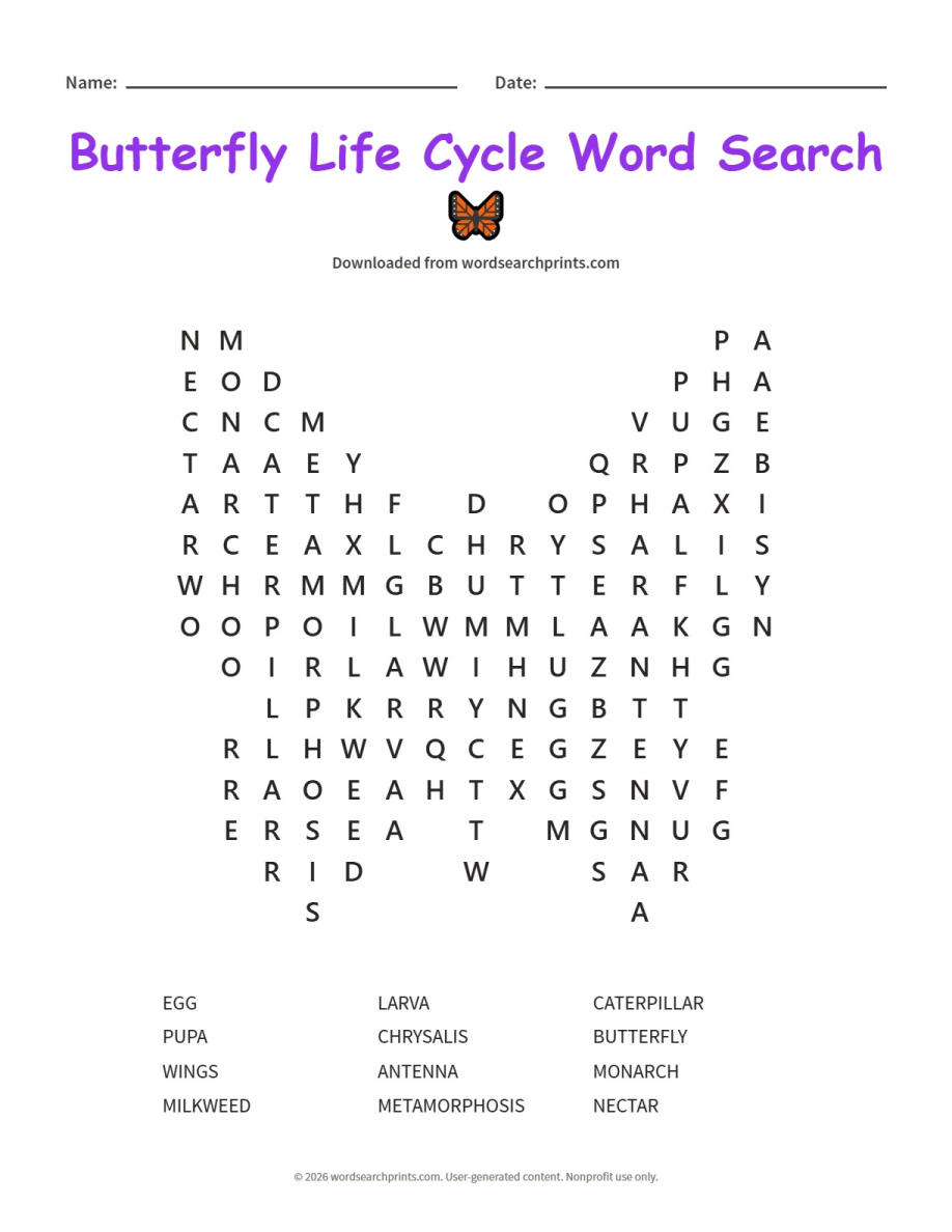 Butterfly Life Cycle Word Search