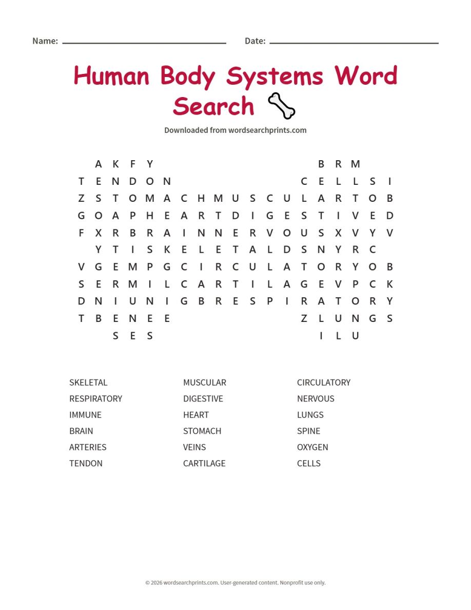Human Body Systems Word Search printable worksheet preview
