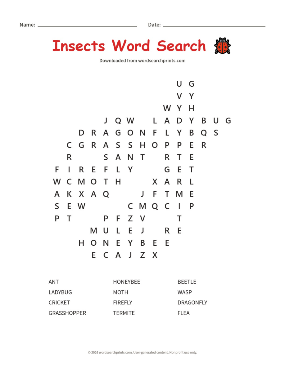 Insects Word Search