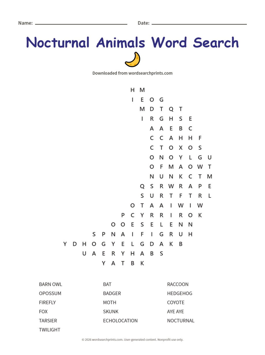 Nocturnal Animals Word Search