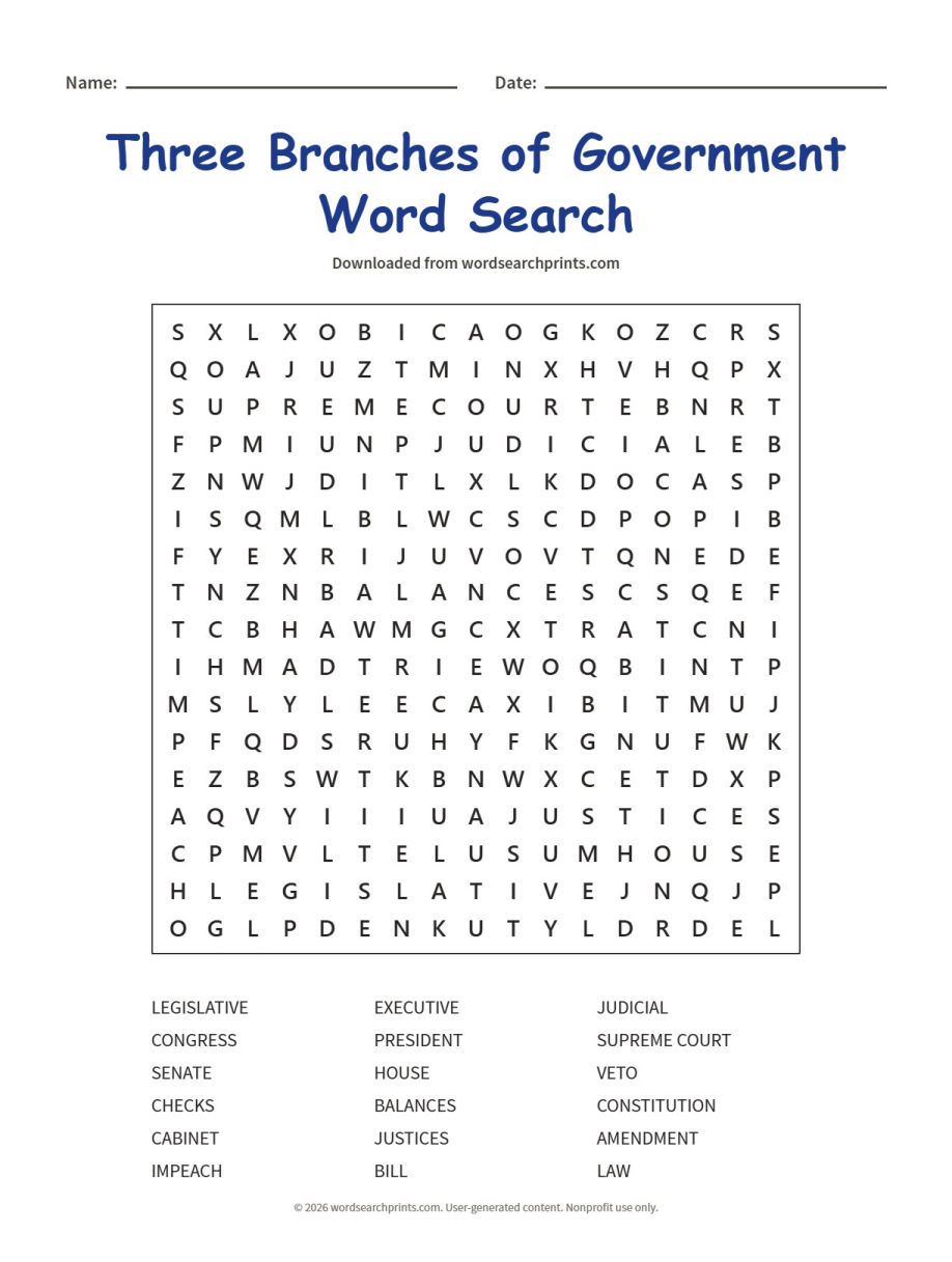 Three Branches of Government Word Search