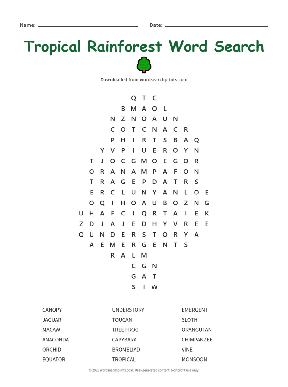 Tropical Rainforest Word Search